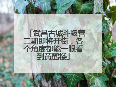 武昌古城斗级营二期即将开街，各个角度都能一眼看到黄鹤楼
